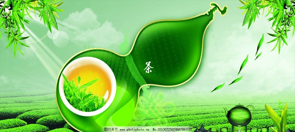 云顶茶园 寻觅安溪茶山中的一脉清香