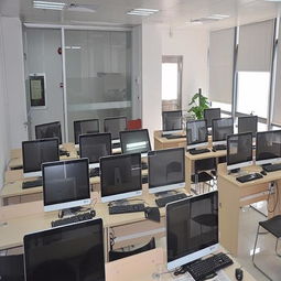 周口软件开发公司名录